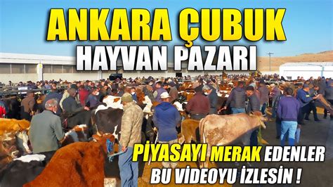 Ankara kus pazari
